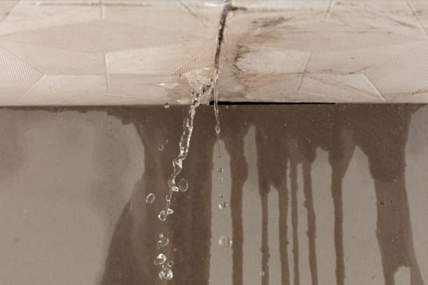 Professional Sewage Cleanup technician working in Oregon, IL